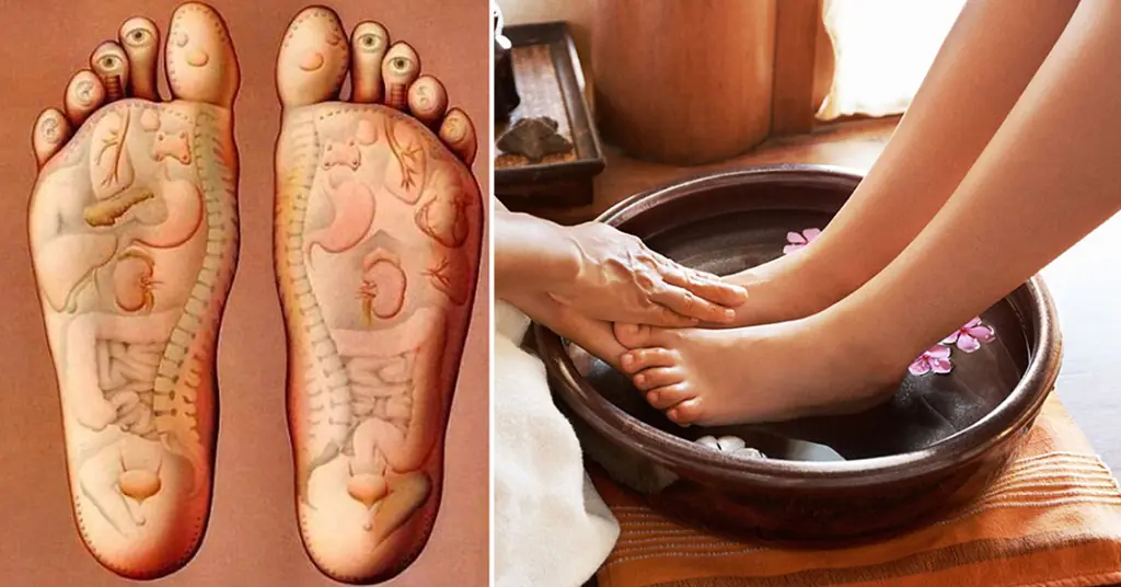 LỘC SPA DƯỠNG SINH